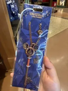 上海ディズニーリゾート 10周年記念 キーホルダー - メルカリ