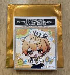 STPR ブロマイド　ウッドマグネット STPR x yokohama アンプタックカラーズ ウッドマグネットあっきぃ