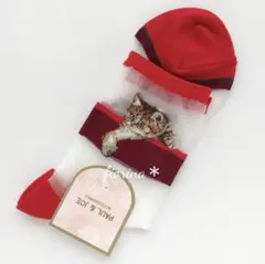 ポール&ジョー　ヌネット　シースルー　ソックス　レッド　 猫　ネコ　キジトラ