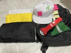 ポケモン ピーニャ コスプレのサムネイル