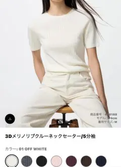 3Dメリノリブクルーネックセーター
