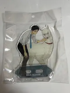 ハイキュー　東武動物公園　赤葦京治　BIGアクリルスタンド