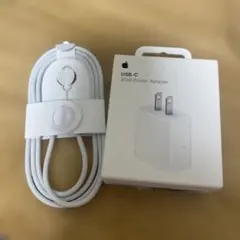 Apple USB-C 20W Power Adapter 本体とccケーブル