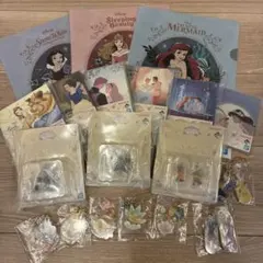 ディズニープリンセス グッズ セット 19点