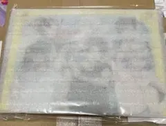 アオペラ Vadlip アクリルアートパネル