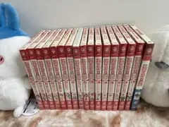 涼宮ハルヒの憂鬱 限定版DVD 全17巻セット