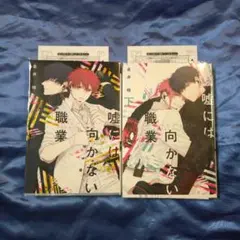 嘘には向かない職業 上下セット