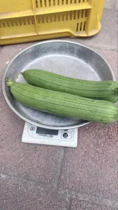 野菜セットヘチマのサムネイル