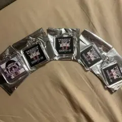 ZETA DIVISION Hametu FACE KEYCHAIN