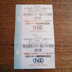 日本スキー場開発　株主優待スキー場リフト利用割引券　２枚セット