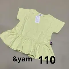 Item thumbnail for item 291f01f4-db9f-41c1-8e21-3687af73335b