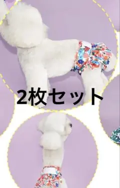 Item thumbnail for item 98e95bf6-ece6-4620-96ba-b4a64a7a415b