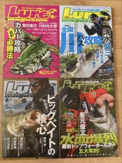 ルアーマガジン4冊セット