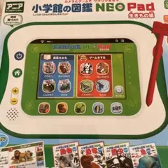 Item thumbnail for item 5c7bb27b-3c17-4b74-b4f8-f8b36240f825