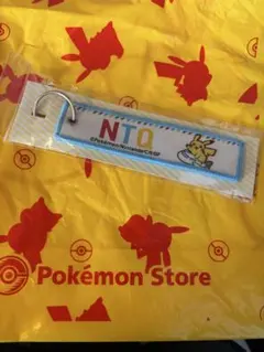 限定・新品】のと里山ポケモンウィズユー空港 クリアポーチ L