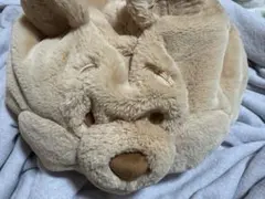 【美品】くまのプーさん ファンキャップ 東京ディズニーリゾート
