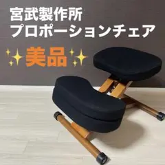 美品　希少カラー　宮武製作所　プロポーションチェア　補助クッション付き