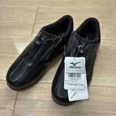 【新品】MIZUNO ミズノ フリーウォーク 25.0cm 4E ウォーキング