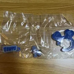 TWICE LOVELYS アクリルカラビナフロッキーマスコットガチャ ツウィ