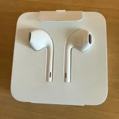 ホワイト 有線イヤホン ケース付き　Apple純正