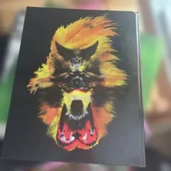 バクチク　アートブック？のサムネイル