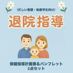 退院指導 保健指導計画書＆パンフレット2点セット　USBデータ