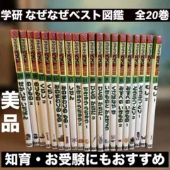 Item thumbnail for item 40cda4ad-14d2-4195-ae2d-92a60e48e722