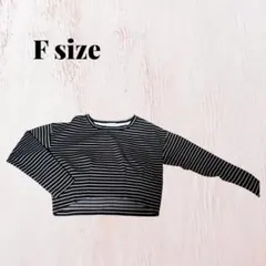 hyphen world gallery ストライプ ショート丈　Tシャツ