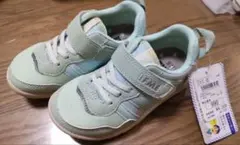 Item thumbnail for item 219a2bb9-ed9a-45d2-a3cd-570fa320962f