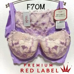 F70Mトリンプ レッドレーベル 0099 ブラ＆ショーツ Navy - メルカリ