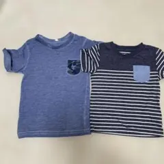 青とストライプのTシャツ2枚セット