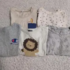 Champion ライオン刺繍 恐竜 動物 半袖Tシャツ5枚セット　90