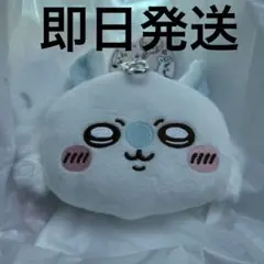 ちいかわ　モモンガ　ぬいぐるみパスケースポーチ　パスケース　ポーチ