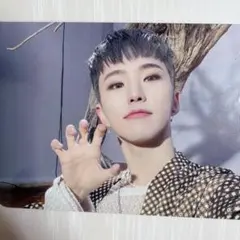 SEVENTEEN 호시 FACE THE SUN 트레카