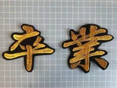 Item thumbnail for item 02a73808-7d1f-4c16-9483-57773e9ed55e