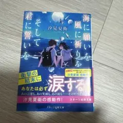 海に願いを 風に祈りを そして君に誓いを