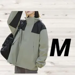 Item thumbnail for item 4035d867-81c3-4b9c-ac24-e50c6745f15c