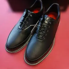 Item thumbnail for item 7fe4bc4d-45e4-4de0-b79d-9f56ee842dee