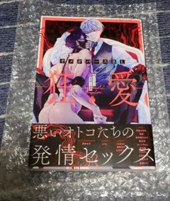 狂愛 オメガバースBL