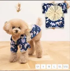 クレイジーブー 浴衣 あじさい柄浴衣 CRAZYBOO 犬浴衣 Mのサムネイル