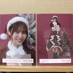 櫻坂46 2025年サンタ衣装 生写真 向井純葉 ヨリ、ヒキ