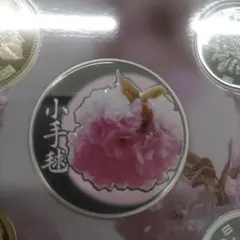 桜の通り抜け 2012 プルーフ貨幣セット 記念メダル のみ造幣局 - メルカリ