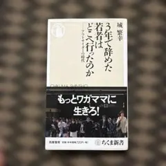 3年で辞めた若者はどこへ行ったのか : アウトサイダーの時代