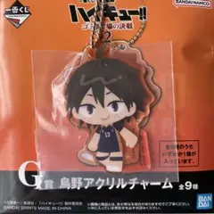 一番くじ　ハイキュー！！ゴミ捨て場の決戦　G賞　アクリルチャーム 山口忠