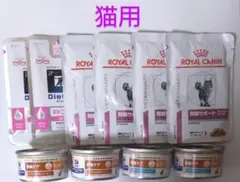 Item thumbnail for item b7aa78c9-15bc-472e-ae5b-19e7604712ea