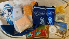 ディズニーバケーションパッケージグッズセット