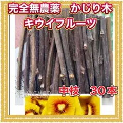 完全無農薬　かじり木　キウイフルーツ　中枝　30本
