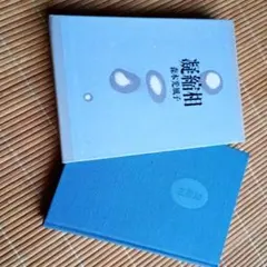 Item thumbnail for item 93d2e3c7-050c-4fc0-a5d4-8220f1a395c3