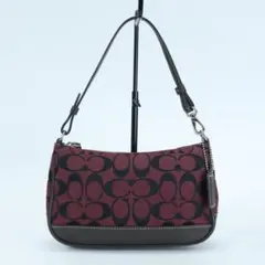 美品 COACH アクセサリーポーチ 6094 ハンドバッグ シグネチャー 茶