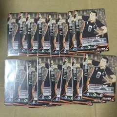 ハイキュー!! バボカ BREAK N 成田一仁 16点